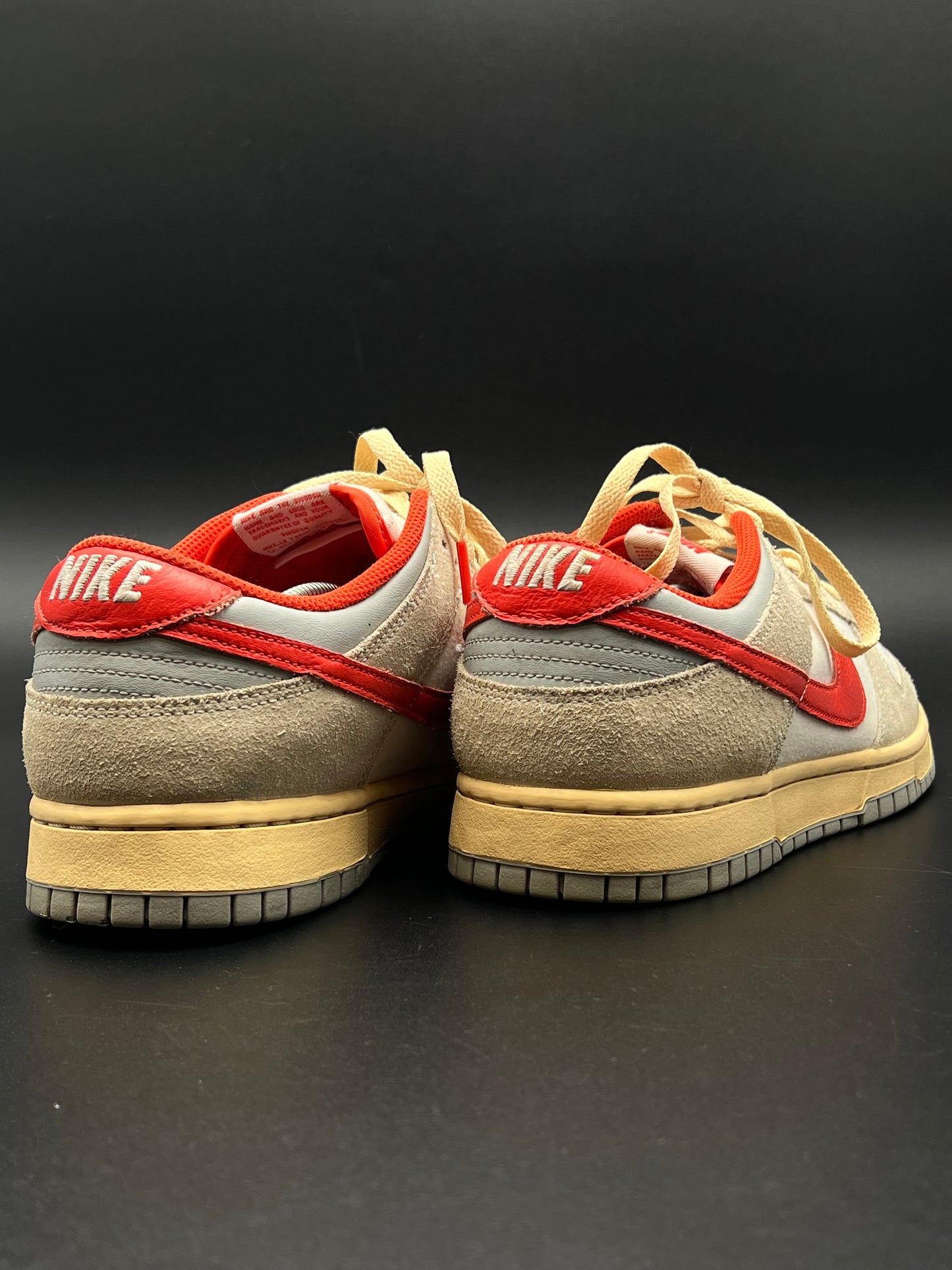 NIKE DUNKS LOW ATHLETIC DEPARTMENT