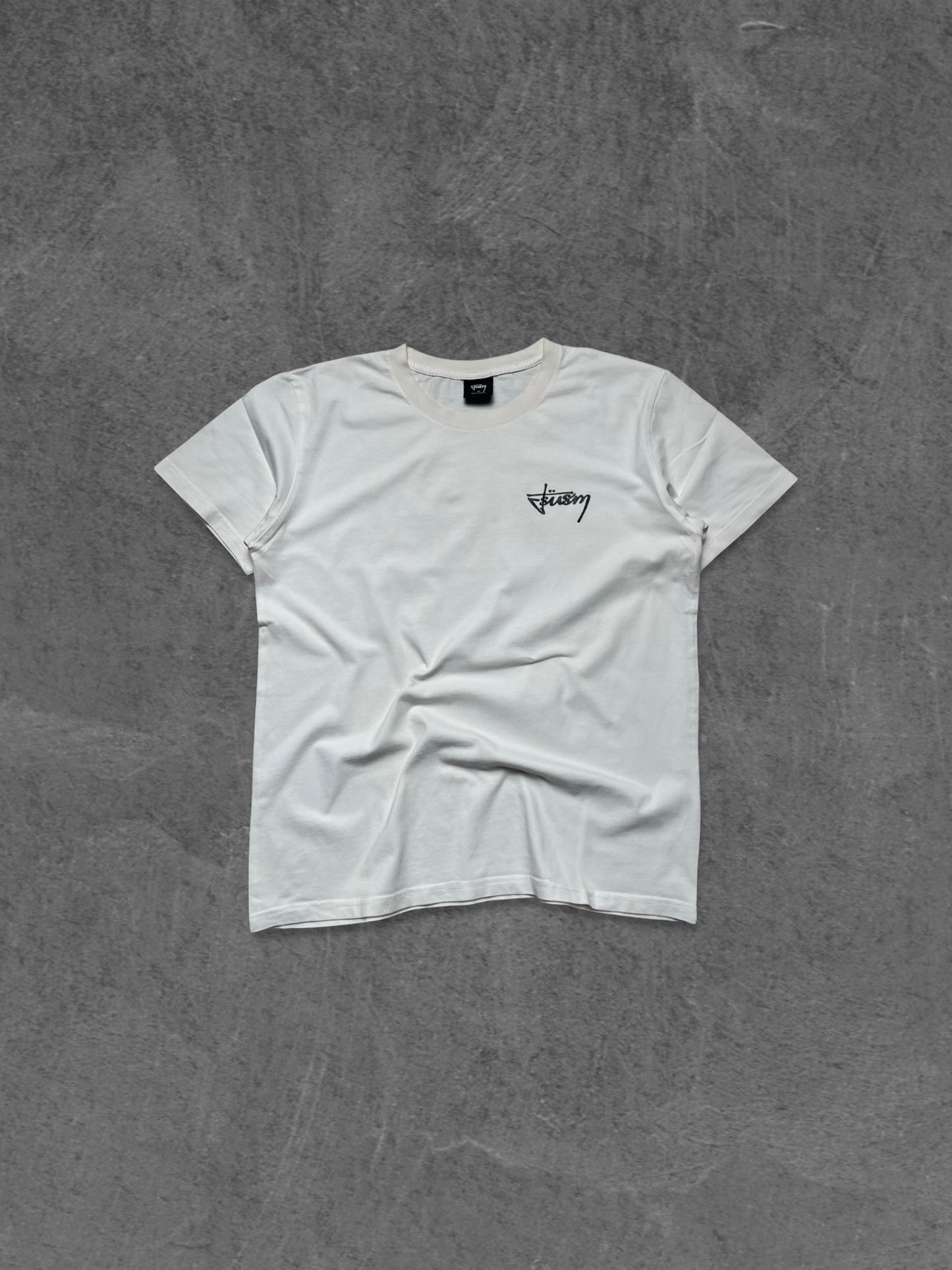 STUSSY PRINTED TEE