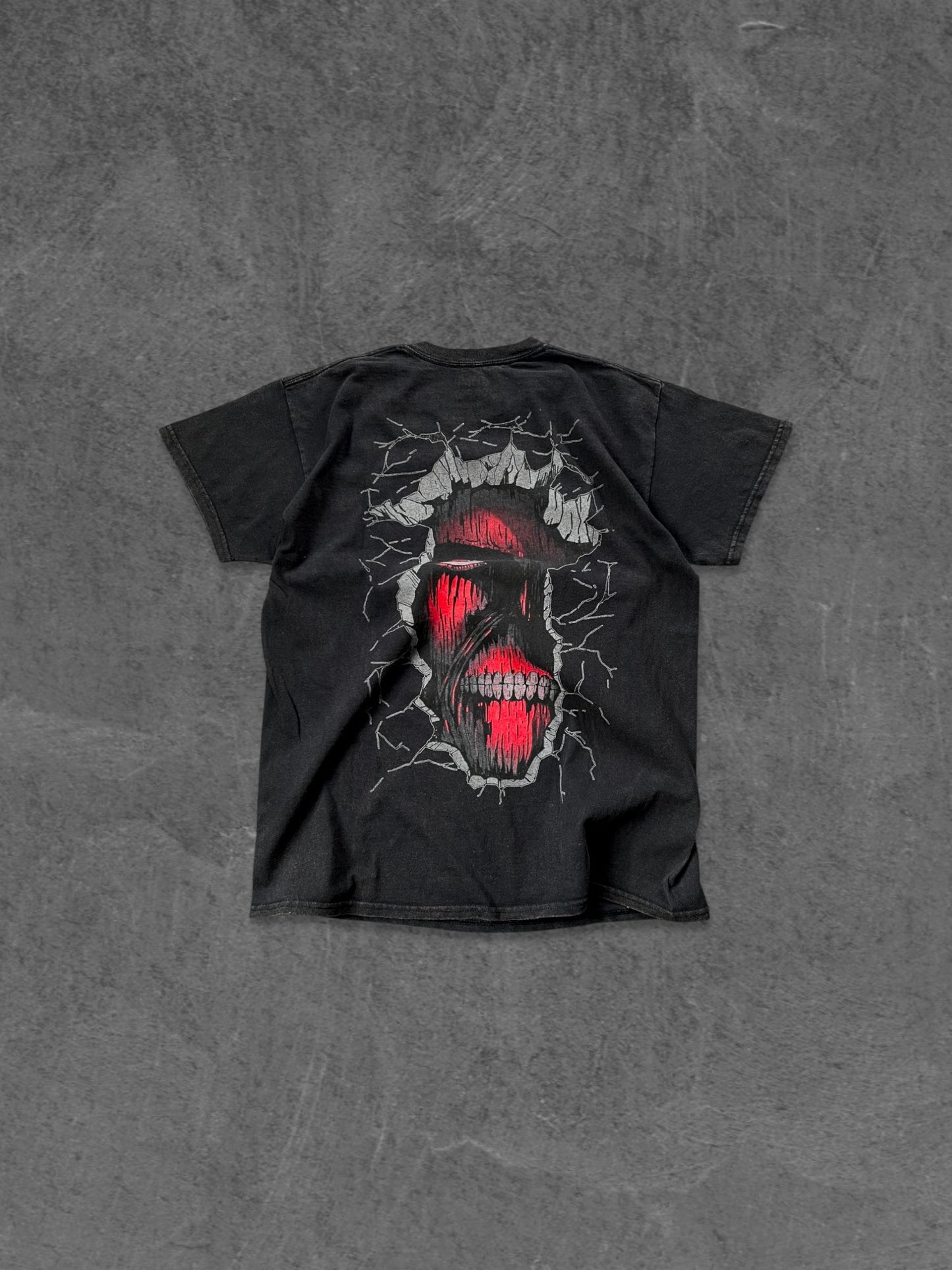 GOAT CREW Printed Vintage Tee