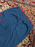Dickies WOMEN Teal Blue Cargo Pockets Elastic Waist TRACK Pants - 30