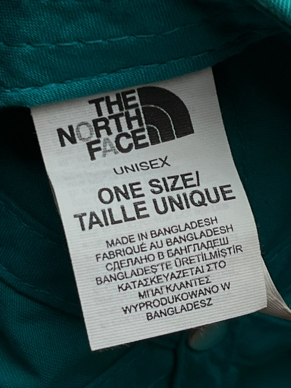 The North Face Cursive Script Logo Teal Turquoise Blue Strapback Cap Unisex OS