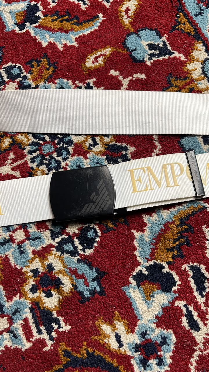 Emporio Armani Big Logo Canvas Webbing Belt Matte Black Metal Buckle